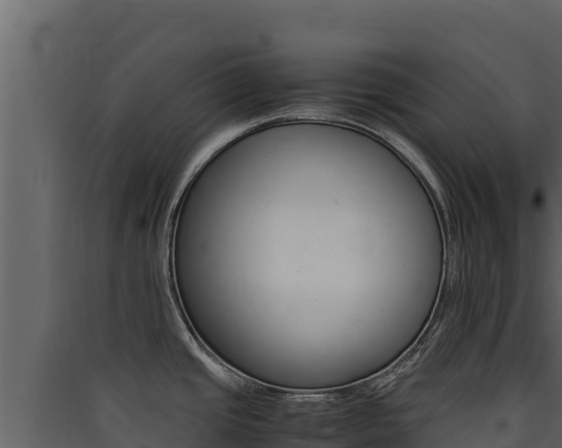 X0000090431437200707130958