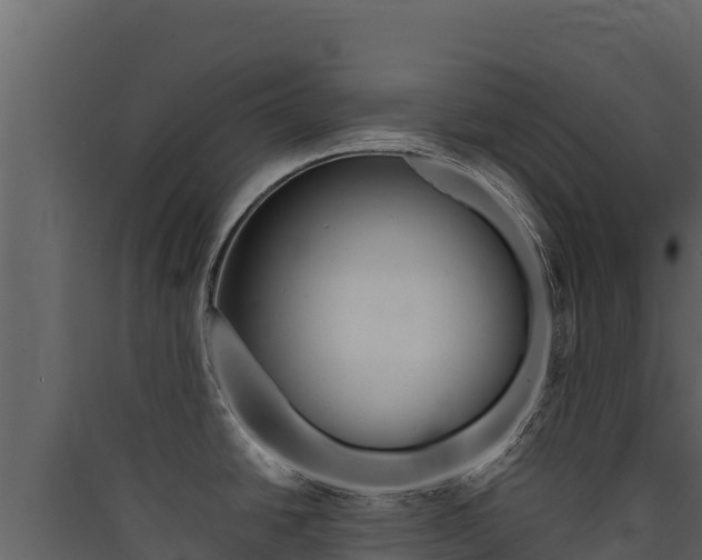 X0000090431438200707130958