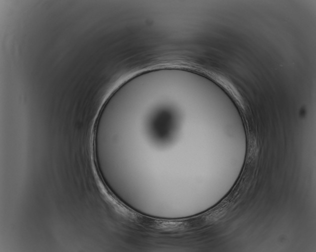 X0000090431439200707130958