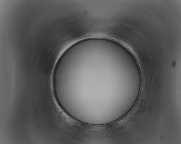 X0000090431440200707130958