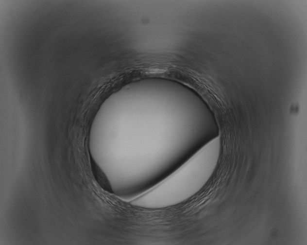 X0000090431441200707130958