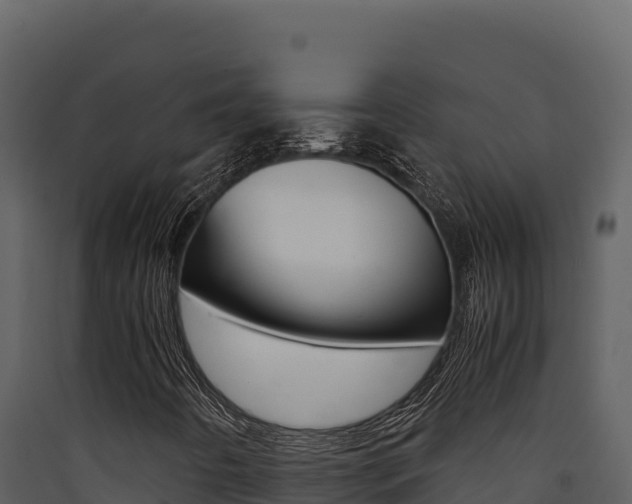 X0000090431442200707130958
