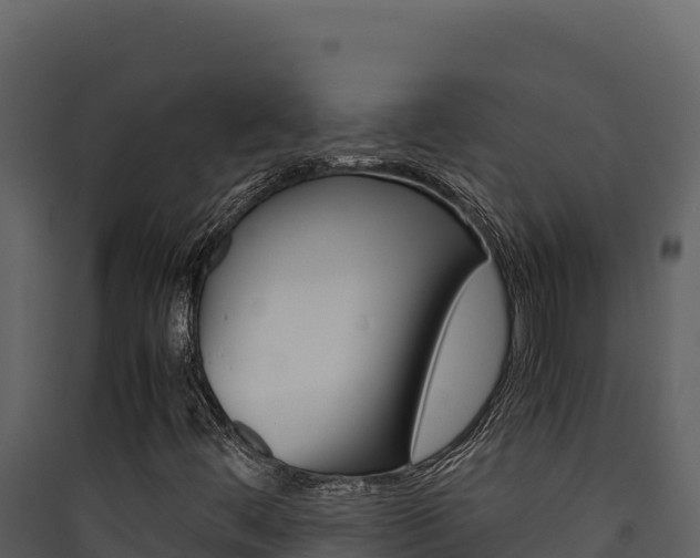 X0000090431444200707130958