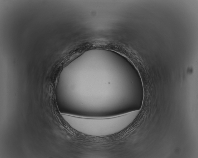 X0000090431445200707130958
