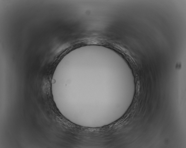 X0000090431446200707130958