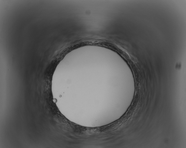 X0000090431447200707130958