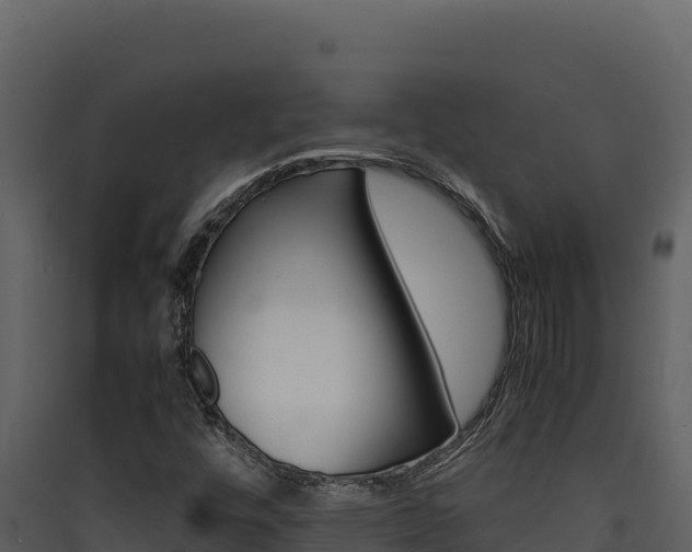 X0000090431448200707130957