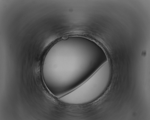 X0000090431450200707130957