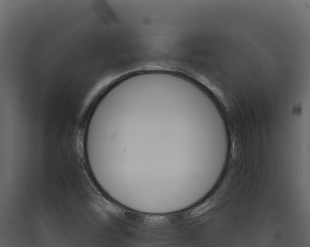 X0000090431454200707130957