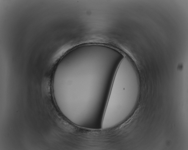 X0000090431455200707130957