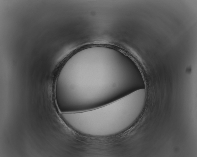 X0000090431456200707130957