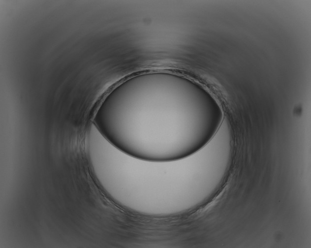 X0000090431457200707130957