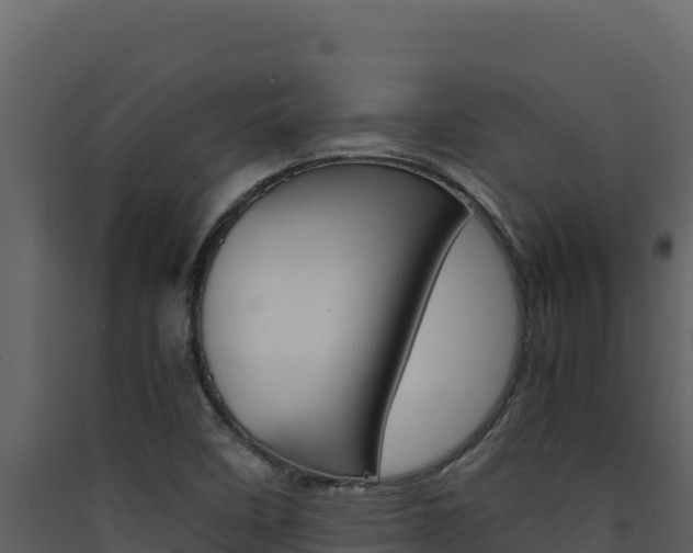 X0000090431458200707130957