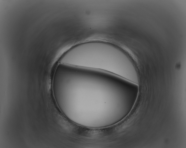 X0000090431461200707130957