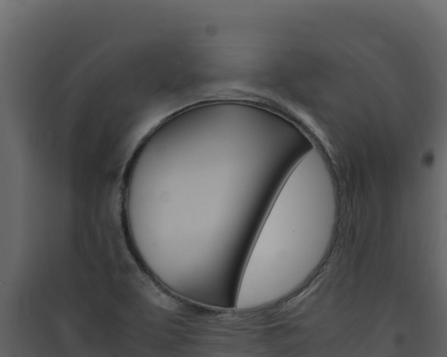 X0000090431463200707130957