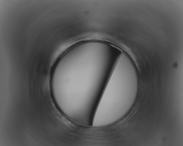X0000090431464200707130957