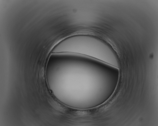 X0000090431465200707130957