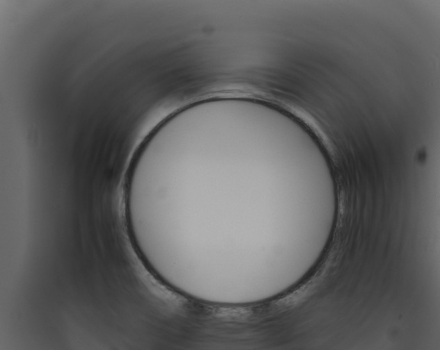 X0000090431466200707130957