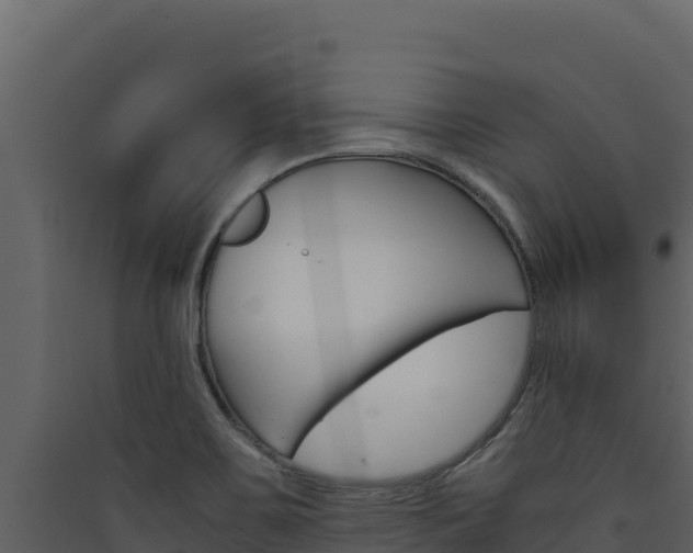 X0000090431467200707130957
