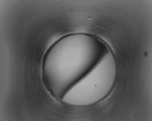 X0000090431469200707130957