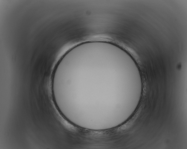 X0000090431470200707130957