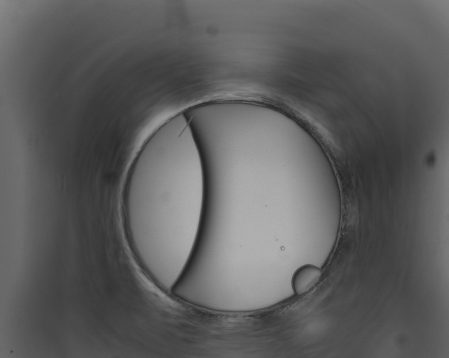 X0000090431471200707130957