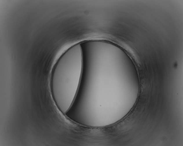 X0000090431472200707130957