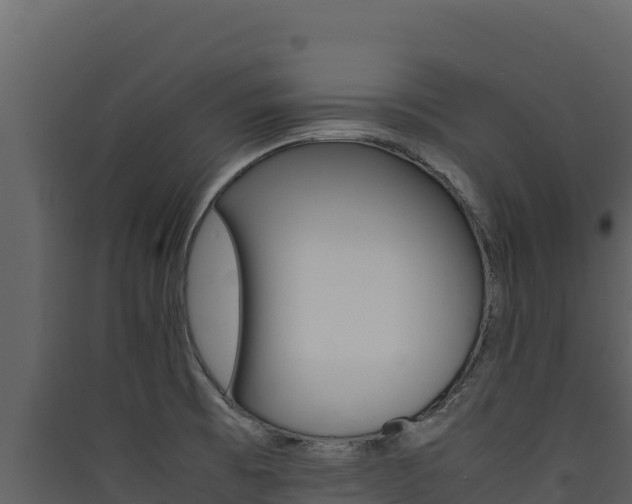 X0000090431473200707130957