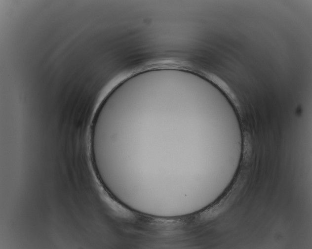 X0000090431474200707130957