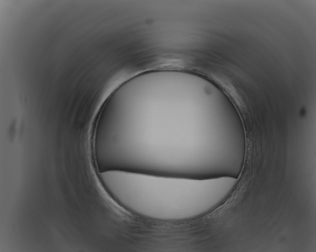 X0000090431475200707130957