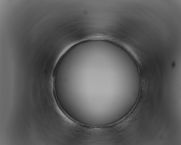 X0000090431476200707130957