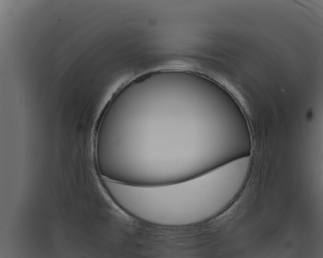 X0000090431477200707130957