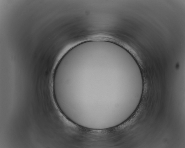 X0000090431478200707130957