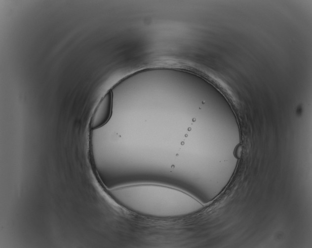 X0000090431479200707130957