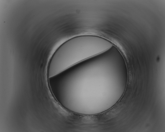 X0000090431480200707130957