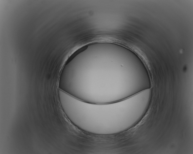 X0000090431481200707130957