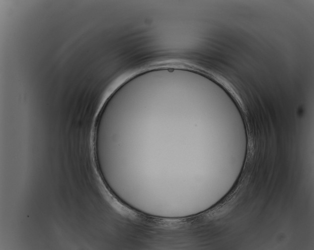 X0000090431482200707130957