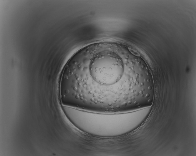 X0000090431483200707130957