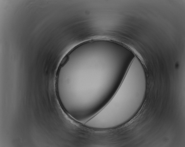 X0000090431484200707130957