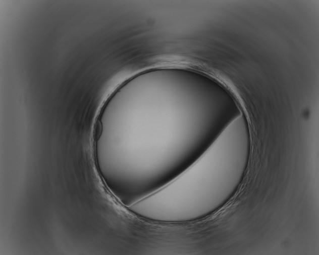 X0000090431488200707130957