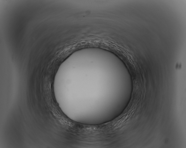 X0000090431489200707130956