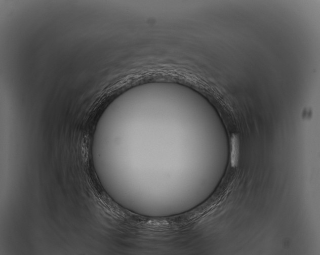 X0000090431491200707130956