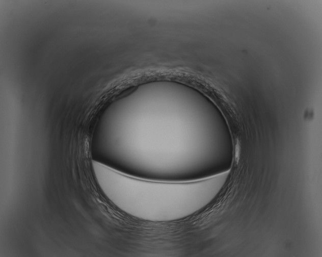 X0000090431492200707130956