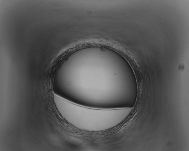 X0000090431494200707130956