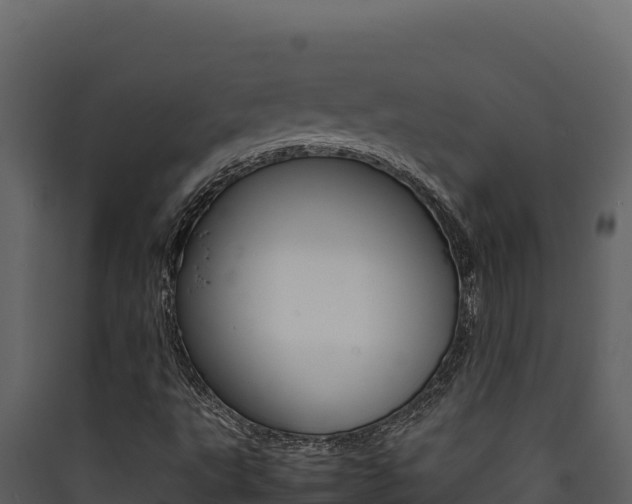 X0000090431495200707130956