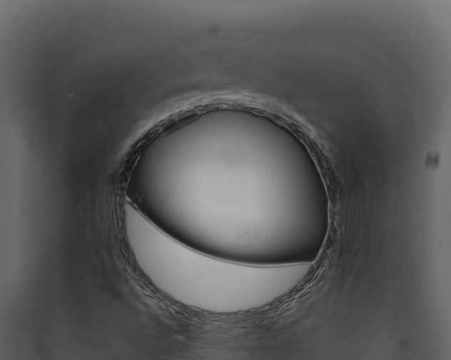 X0000090431496200707130956