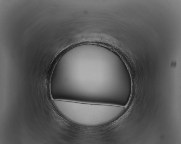 X0000090431497200707130956