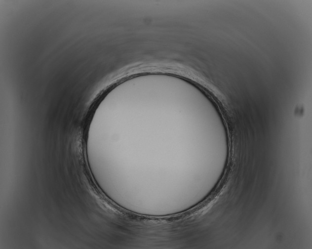 X0000090431498200707130957