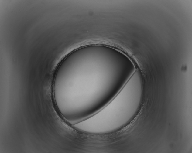 X0000090431500200707130957