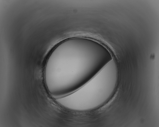 X0000090431501200707130957